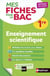 MES FICHES ABC DU BAC Tome 5 : enseignement scientifique - 1re (édition 2019)