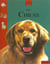 Chiens