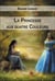 La princesse aux quatre couleurs