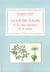 La vie des fleurs et les doux mystères de la nature