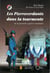Pierreverdants Dans La Tourmente (Les)