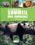 Le surprenant sommeil des animaux