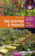 Les plantes à massifs