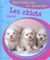 Gros plan sur les animaux 05. les chiots rigolos