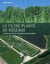 Le filtre planté de roseaux - le versant vert de l'épuration des eaux usées