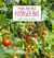 Mon premier potager bio
