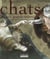 Chats de grands maitres