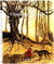 Le petit chaperon rouge