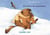 Un hiver de marmotte