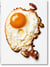 The Gourmand's egg : a collection of stories & recipes
