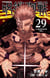 JUJUTSU KAISEN 29 (VO JAPONAIS)
