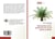 Optimisation de la production du vin de palme au benin