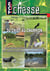 Du chiot au champion