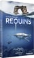 Au plus près des requins