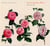 Suites for lute - CD