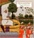 Indian painting hc
