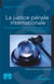 La justice pénale internationale : un instrument idoine pour raisonner la raison d'Etat ?