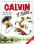 Calvin et Hobbes Tome 8 : elle est pas belle la vie ?