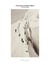 Tirage : l'ascension du Mont-Blanc