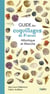 Guide des coquillages de France : Atlantique et Manche