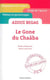 Le gone du Chaâba, d'Azouz Begag