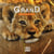 Petit Lion