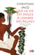 Que la vie est douce à l'ombre des palmes dernières nouvelles d'Égypte