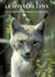 Le mystère lynx - quand le lynx réapparaît en ardennes...