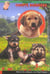 Chiots business