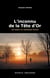 L'inconnu de la tête d'or