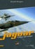 Jaguar - l'adieu aux armes