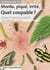 Miniguide 45 - Mordu irrite quel coupable