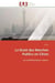 Le droit des marches publics en chine - les problematiques majeurs