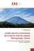 Etude thermo-volcanique de la partie Sud du volcan Nyiragongo, Goma : Caractérisation thermique de l`activité du volcan Nyiragongo
