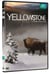Yellowstone, la lutte pour la vie