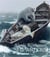 Alexis rockman: shipwrecks