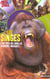 Les singes - tout pres des gorilles, babouins, macaques...