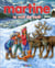 Martine Tome 41 : la nuit de Noël