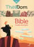 Théodom Tome 3 - Bible, mode d'emploi