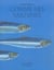 comme des sardines