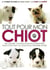 Tout pour mon chiot - un coffret complet pour accompagner mon chiot tout au long de sa première année