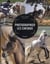 Apprendre A Photographier Les Chevaux