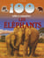 100 infos a connaitre - les éléphants