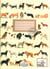 Mon carnet de notes - les chiens