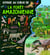 La forêt amazonienne