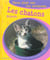 Gros plan sur les animaux 06. les chatons fripons