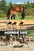 Chevaux - agenda 2013