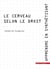 Le cerveau selon le droit