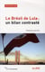 Le Brésil de Lula - un bilan contrasté