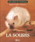 La souris
